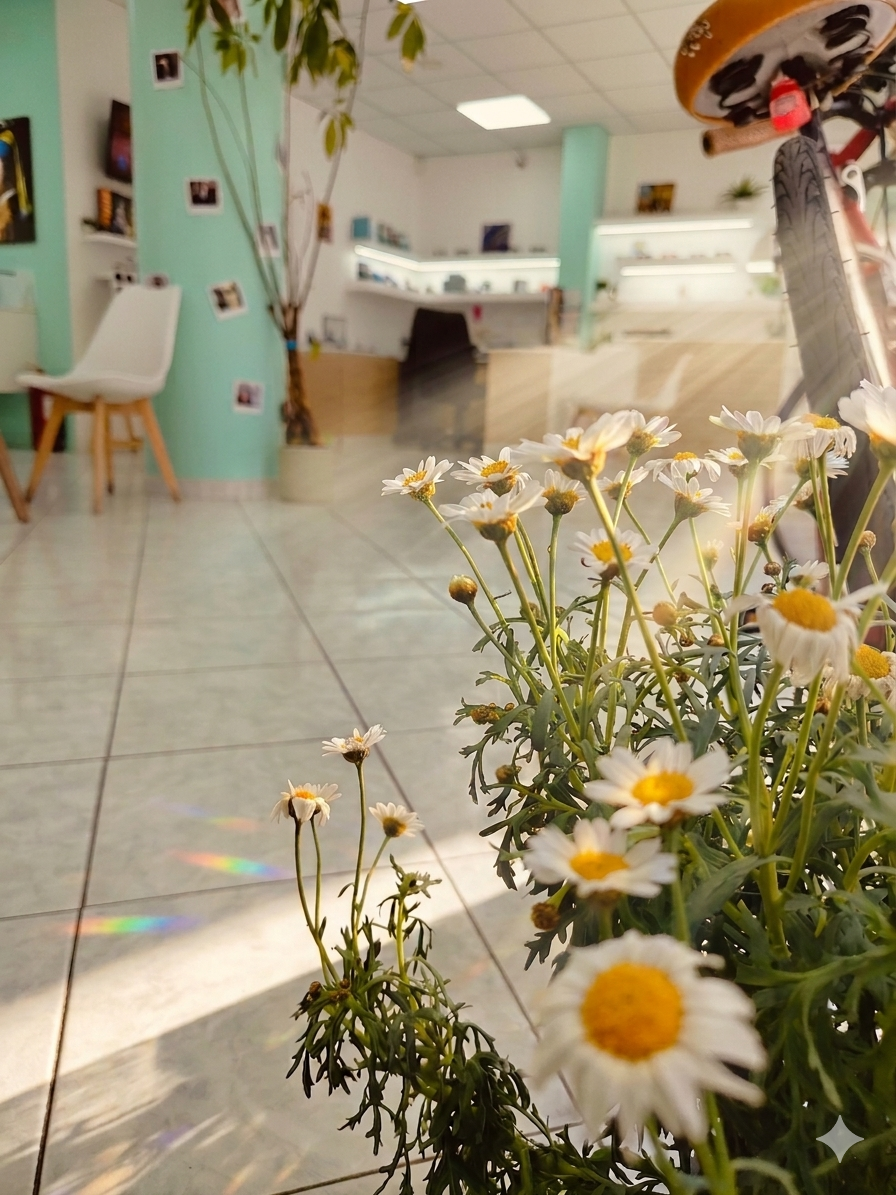 Phos Optical Store στο Παγκράτι Αθήνας, οπτικό κατάστημα με μοντέρνους σκελετούς γυαλιών και εξειδικευμένες υπηρεσίες οπτικού